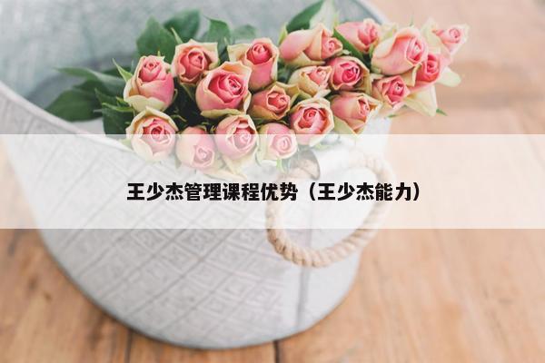 王少杰管理课程优势（王少杰能力）