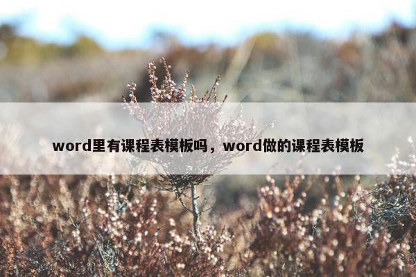 word里有课程表模板吗，word做的课程表模板