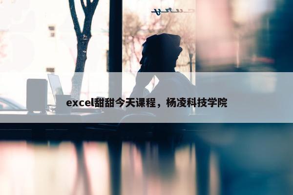 excel甜甜今天课程，杨凌科技学院