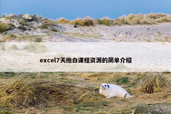 excel7天拖白课程资源的简单介绍