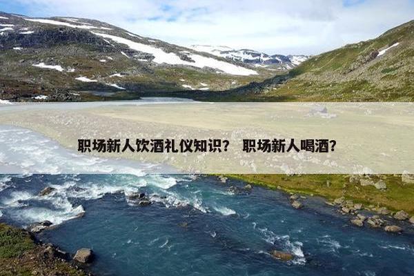 职场新人饮酒礼仪知识？ 职场新人喝酒？