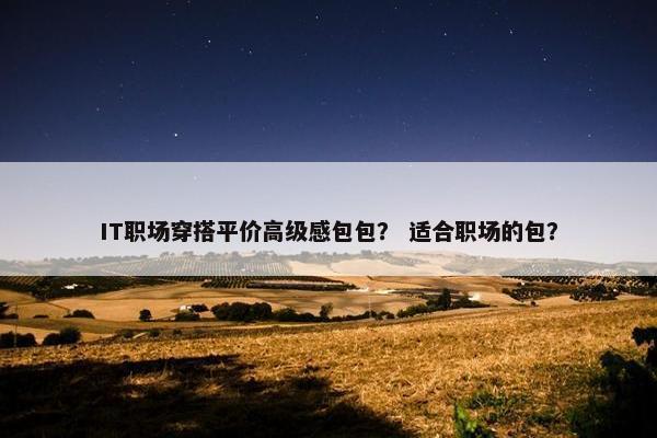 IT职场穿搭平价高级感包包？ 适合职场的包？