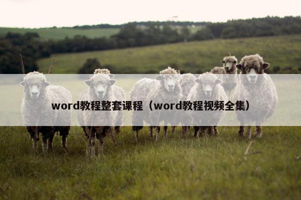 word教程整套课程（word教程视频全集）