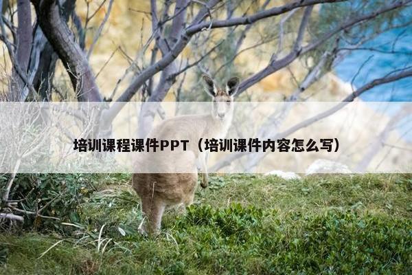培训课程课件PPT（培训课件内容怎么写）