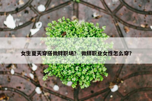 女生夏天穿搭微胖职场？ 微胖职业女性怎么穿？