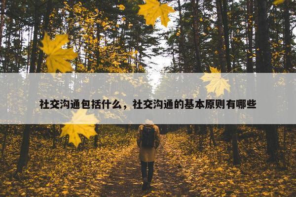 社交沟通包括什么，社交沟通的基本原则有哪些