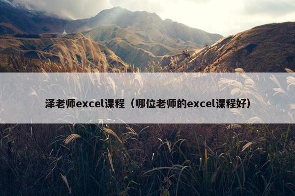 泽老师excel课程（哪位老师的excel课程好）