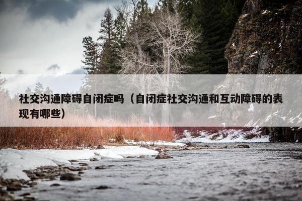 社交沟通障碍自闭症吗（自闭症社交沟通和互动障碍的表现有哪些）