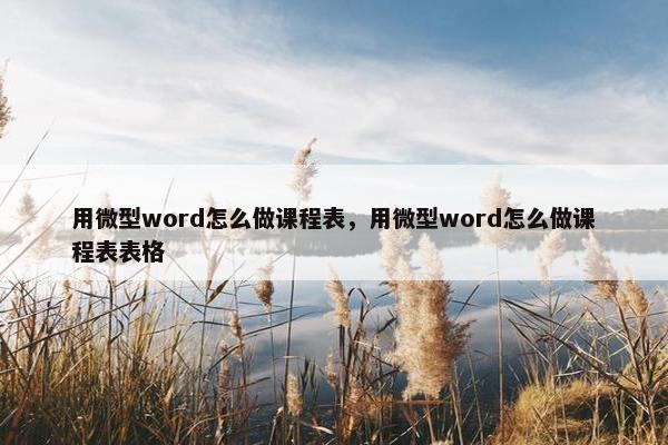 用微型word怎么做课程表，用微型word怎么做课程表表格