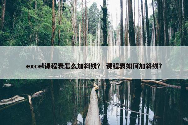 excel课程表怎么加斜线？ 课程表如何加斜线？