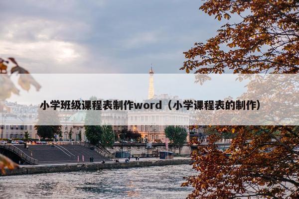 小学班级课程表制作word（小学课程表的制作）