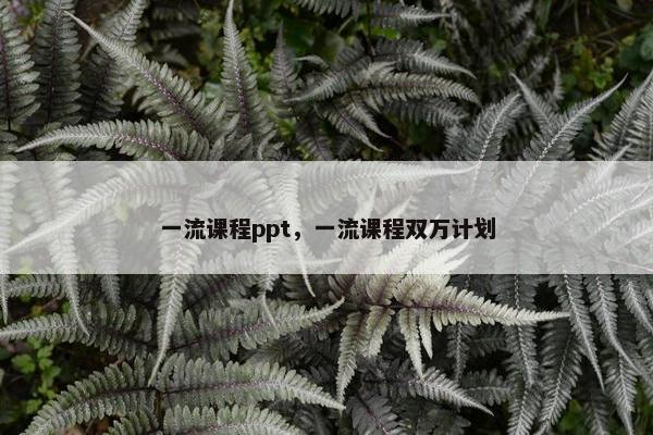 一流课程ppt，一流课程双万计划