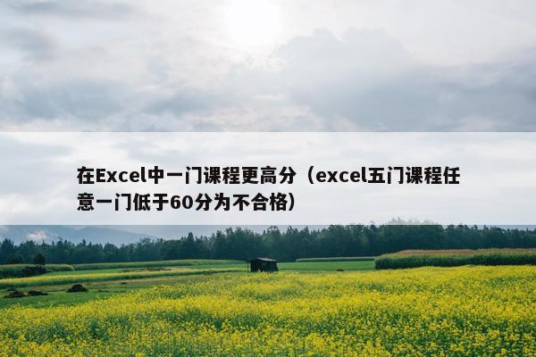 在Excel中一门课程更高分（excel五门课程任意一门低于60分为不合格）