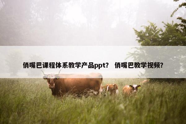 俏嘴巴课程体系教学产品ppt？ 俏嘴巴教学视频？