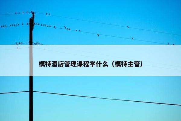 模特酒店管理课程学什么（模特主管）