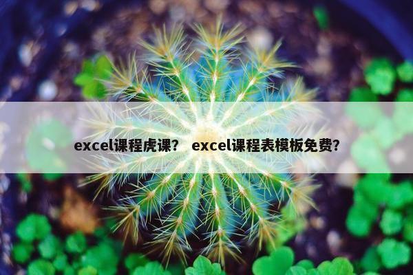 excel课程虎课？ excel课程表模板免费？