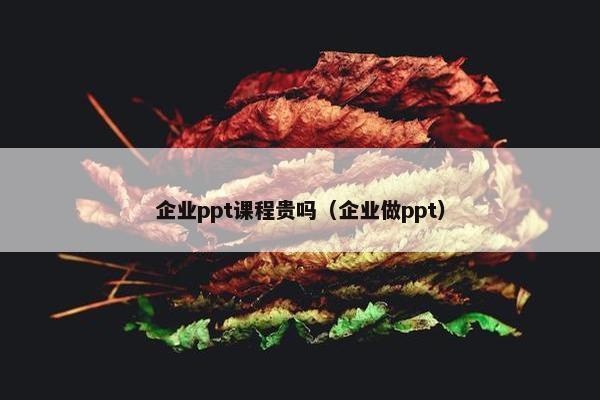 企业ppt课程贵吗（企业做ppt）