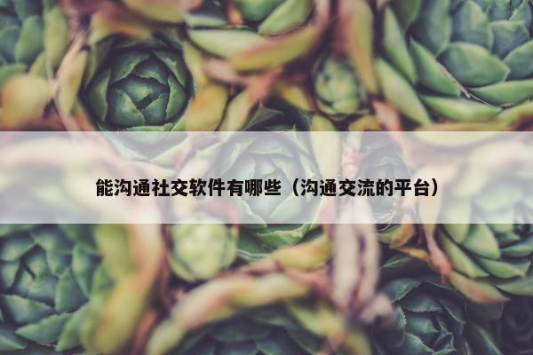 能沟通社交软件有哪些（沟通交流的平台）