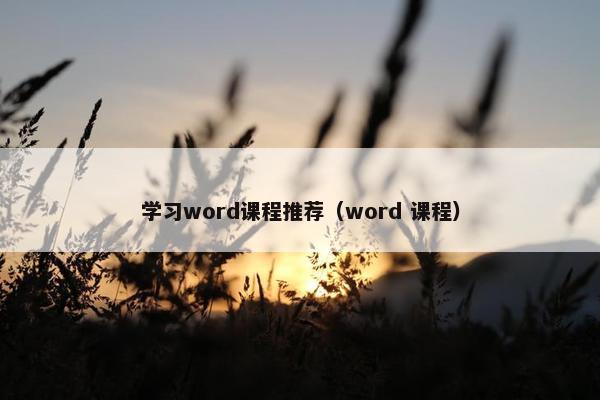 学习word课程推荐（word 课程）
