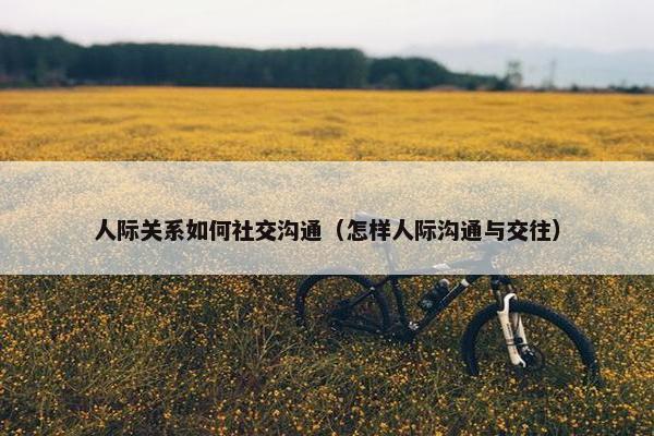 人际关系如何社交沟通（怎样人际沟通与交往）