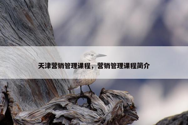 天津营销管理课程，营销管理课程简介