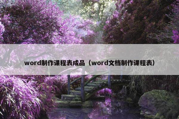 word制作课程表成品（word文档制作课程表）