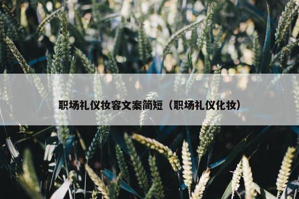 职场礼仪妆容文案简短（职场礼仪化妆）
