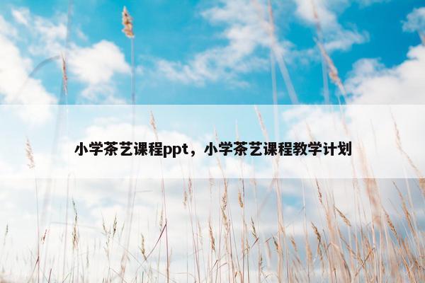 小学茶艺课程ppt，小学茶艺课程教学计划