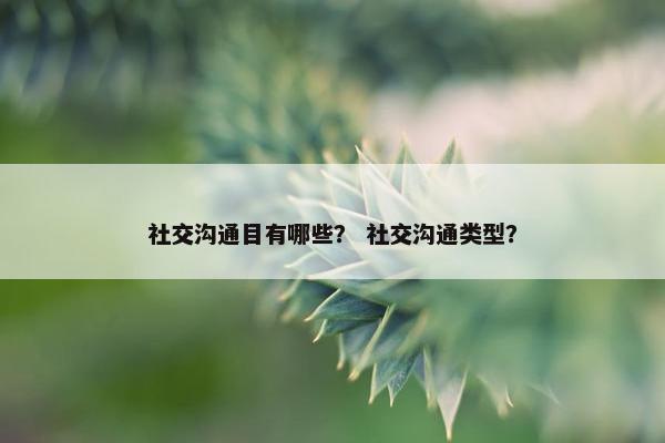 社交沟通目有哪些？ 社交沟通类型？