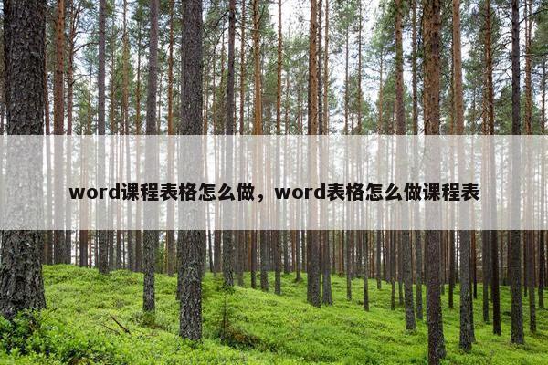 word课程表格怎么做，word表格怎么做课程表