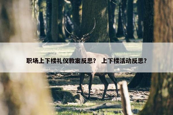 职场上下楼礼仪教案反思？ 上下楼活动反思？