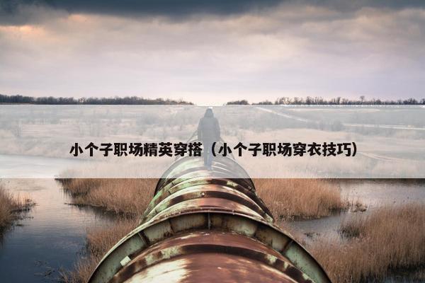 小个子职场精英穿搭（小个子职场穿衣技巧）