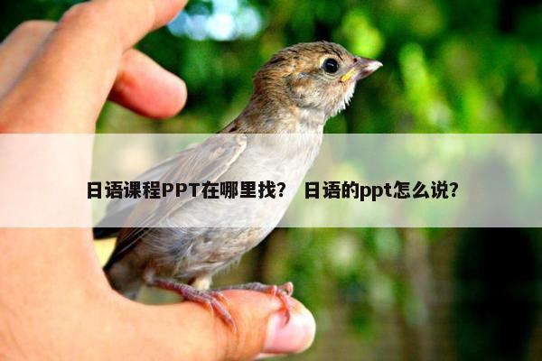 日语课程PPT在哪里找？ 日语的ppt怎么说？