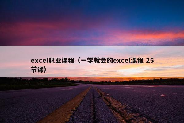 excel职业课程（一学就会的excel课程 25节课）
