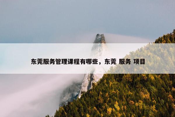 东莞服务管理课程有哪些，东莞 服务 项目