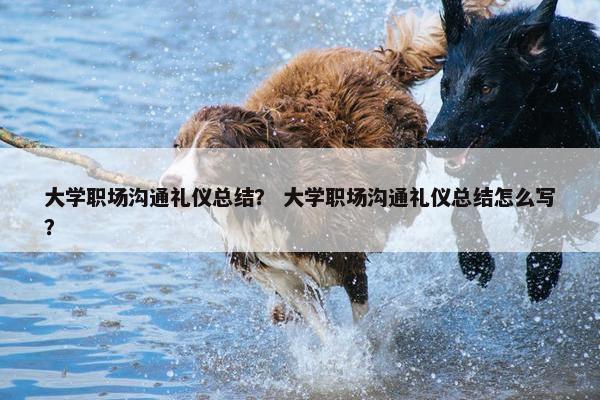 大学职场沟通礼仪总结？ 大学职场沟通礼仪总结怎么写？
