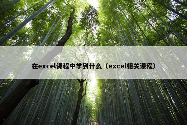 在excel课程中学到什么（excel相关课程）