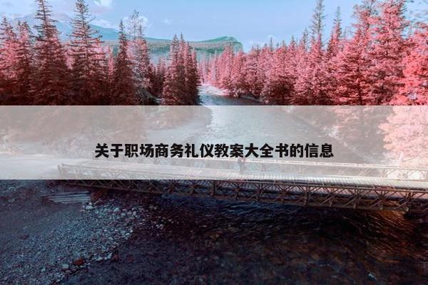 关于职场商务礼仪教案大全书的信息