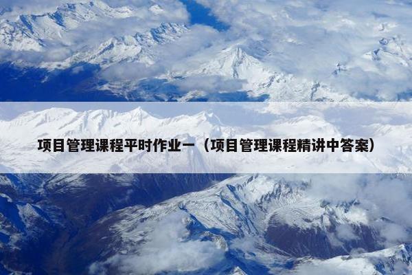 项目管理课程平时作业一（项目管理课程精讲中答案）
