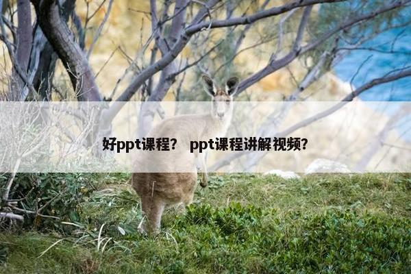 好ppt课程？ ppt课程讲解视频？