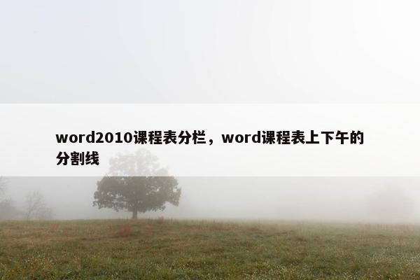 word2010课程表分栏，word课程表上下午的分割线