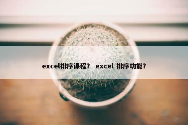 excel排序课程？ excel 排序功能？
