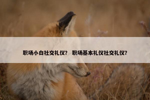 职场小白社交礼仪？ 职场基本礼仪社交礼仪？