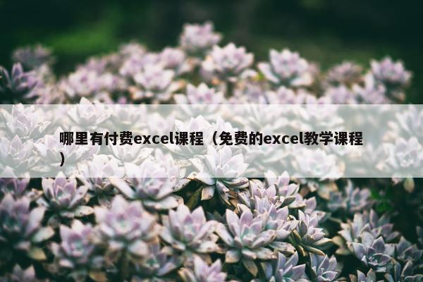 哪里有付费excel课程（免费的excel教学课程）
