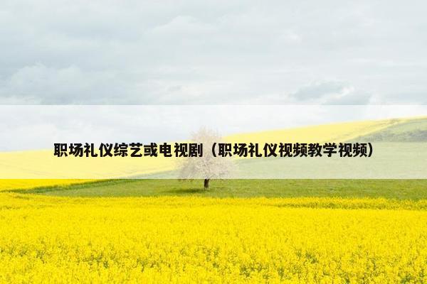 职场礼仪综艺或电视剧（职场礼仪视频教学视频）