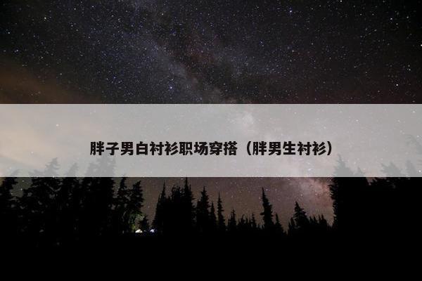 胖子男白衬衫职场穿搭（胖男生衬衫）