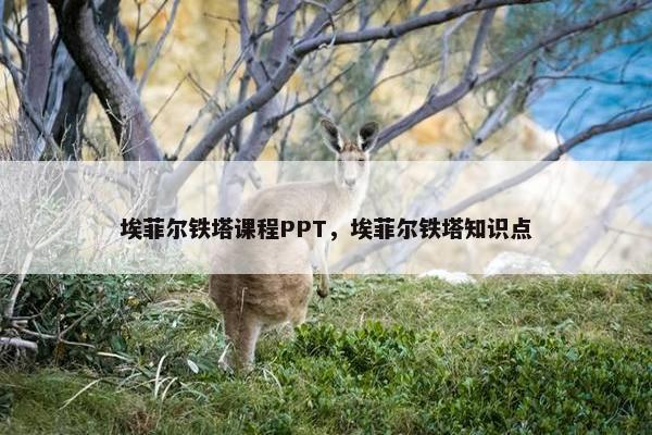 埃菲尔铁塔课程PPT，埃菲尔铁塔知识点