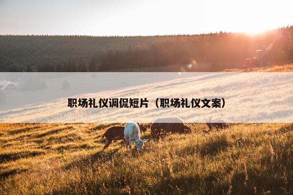 职场礼仪调侃短片（职场礼仪文案）