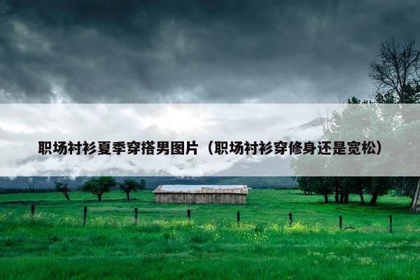 职场衬衫夏季穿搭男图片（职场衬衫穿修身还是宽松）