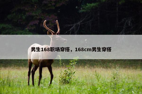 男生168职场穿搭，168cm男生穿搭